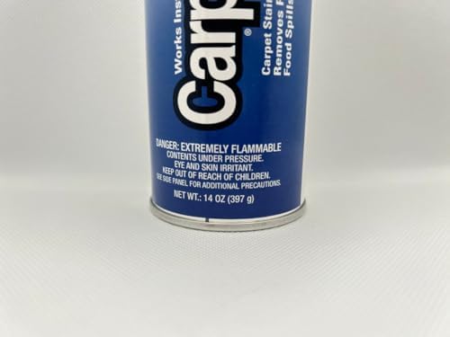 Professional Carpet Spot Stain Remover 14 oz Can