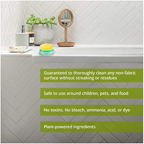 Earth Brite All Purpose Cleaner 2-Pack - Natural Stain-Free Multi-Surface