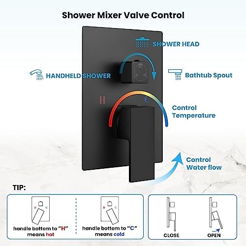 Gotonovo 10 Inch Rain Shower Faucet System with Matte Black Finish