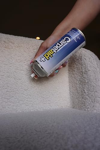 Professional Carpet Spot Stain Remover 14 oz Can