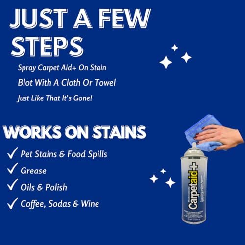 Professional Carpet Spot Stain Remover 14 oz Can