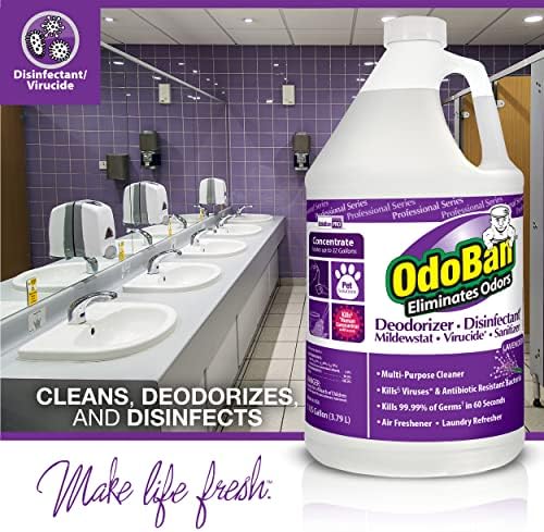 OdoBan Professional Disinfectant 2-Pack 1 Gallon Each