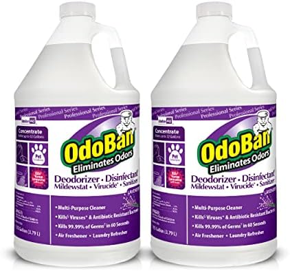 OdoBan Professional Disinfectant 2-Pack 1 Gallon Lavender Scent