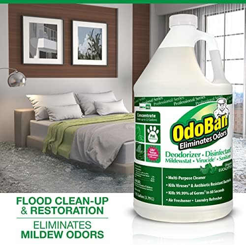 OdoBan Professional Disinfectant 2-Pack 1 Gallon Each