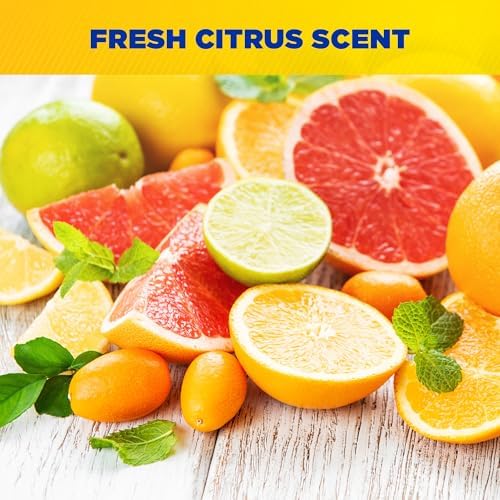 Zep Big Orange Heavy-Duty Citrus Degreaser - 15 oz Case Of 12 1