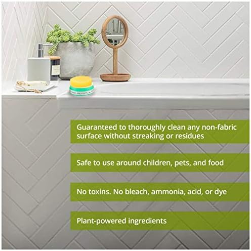 Earth Brite Clay Bar All Purpose Cleaner 1