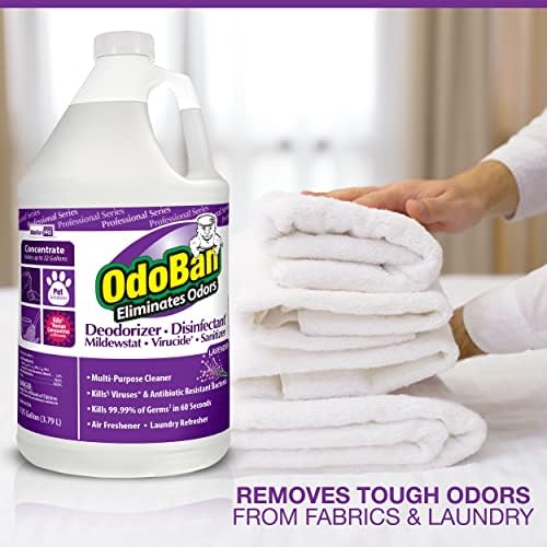 OdoBan Professional Disinfectant 2-Pack 1 Gallon Each