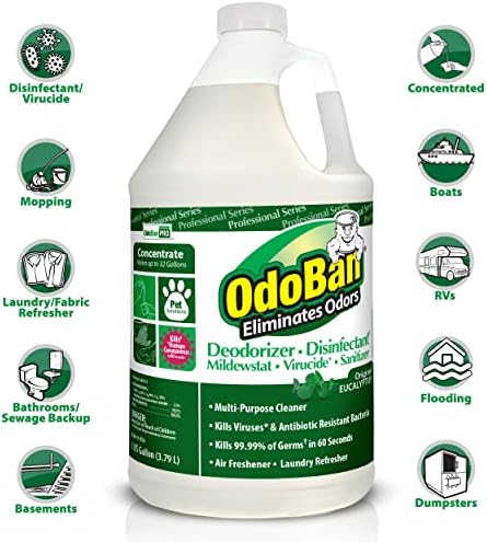 OdoBan Professional Disinfectant 2-Pack 1 Gallon Each