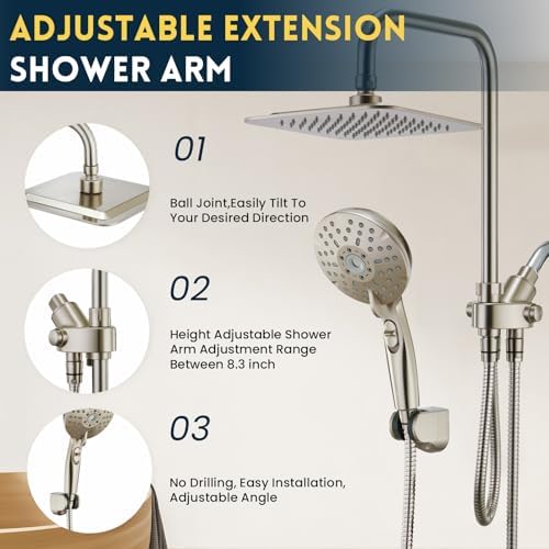 Ryamen Dual Shower Head Combo with 6 Settings Adjustable Slide Bar