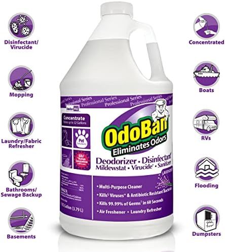 OdoBan Professional Disinfectant 2-Pack 1 Gallon Lavender Scent
