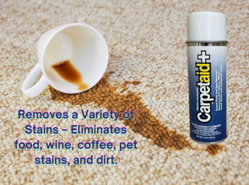 Professional Carpet Spot Stain Remover 14 oz Can