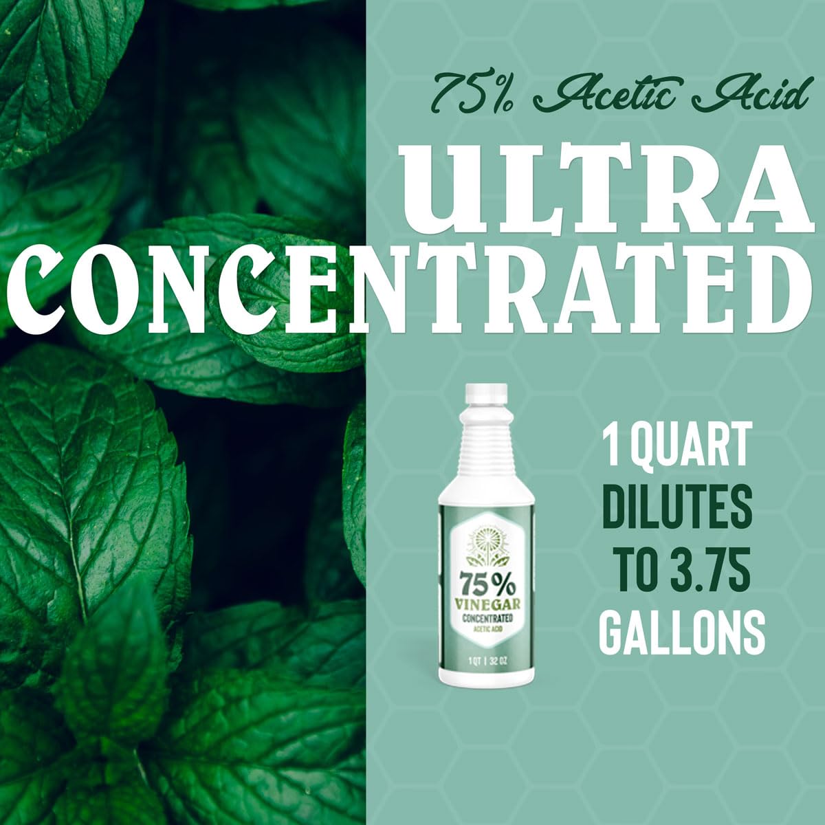 75 Vinegar 1 Gallon Concentrated All-Natural Cleaner