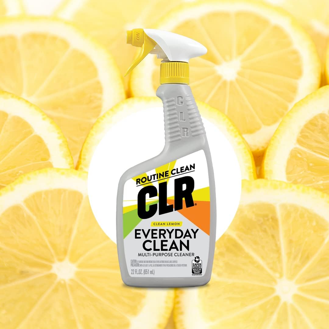 CLR Everyday Clean Multi Purpose Cleaner 22 Ounce Pack of 2