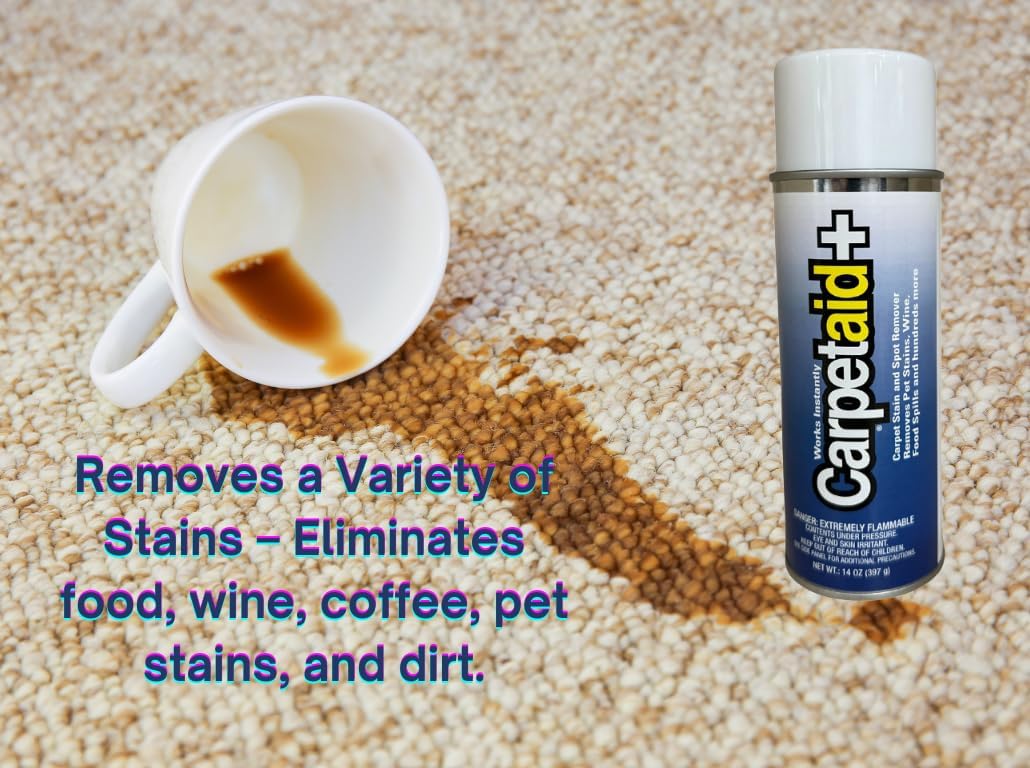 Professional Carpet Spot Stain Remover 14 oz Can