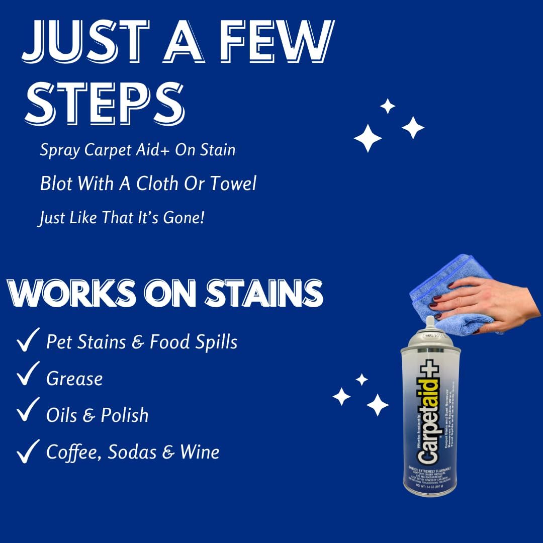 Professional Carpet Spot Stain Remover 14 oz Can
