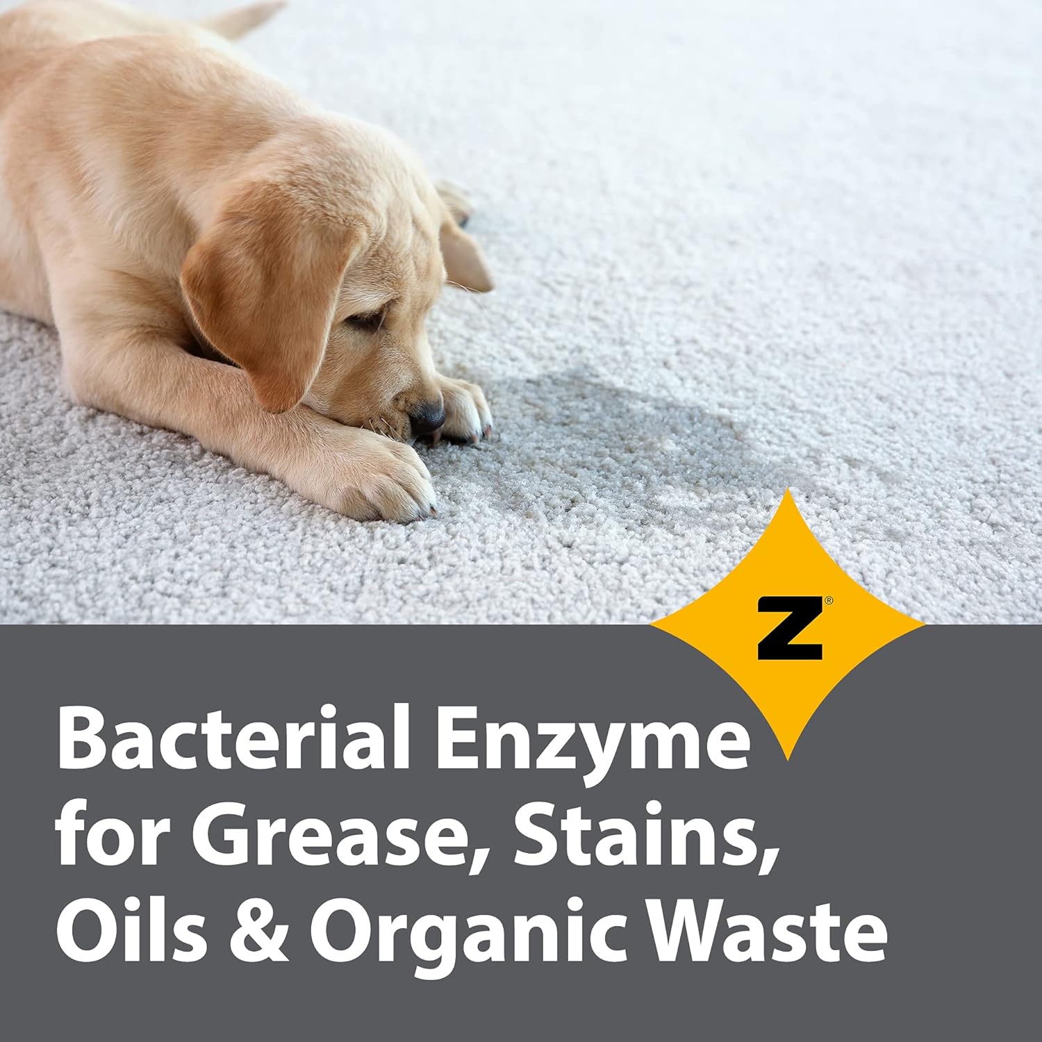 Zeiff Pro-Grade Enzyme Cleaner 32 Ounce