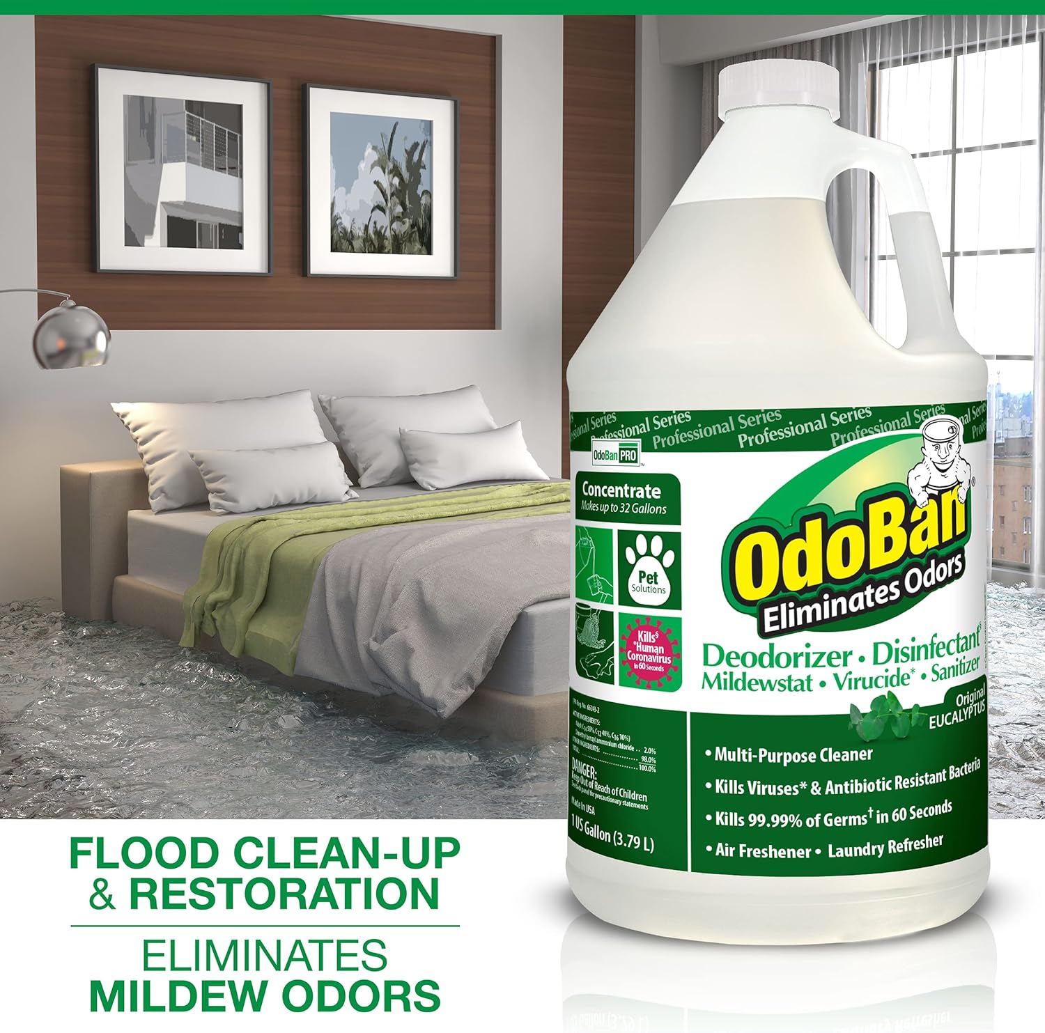 OdoBan Professional Disinfectant 2-Pack 1 Gallon Each
